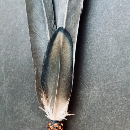 Pero pro očistu od cizích vlivů