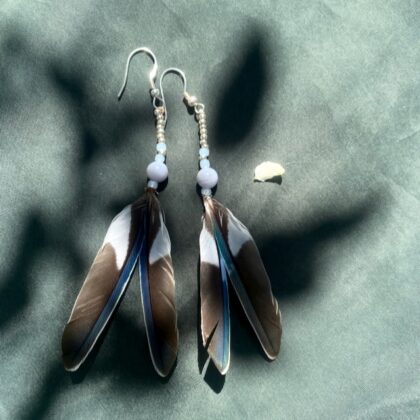 Co je doopravdy důležité?